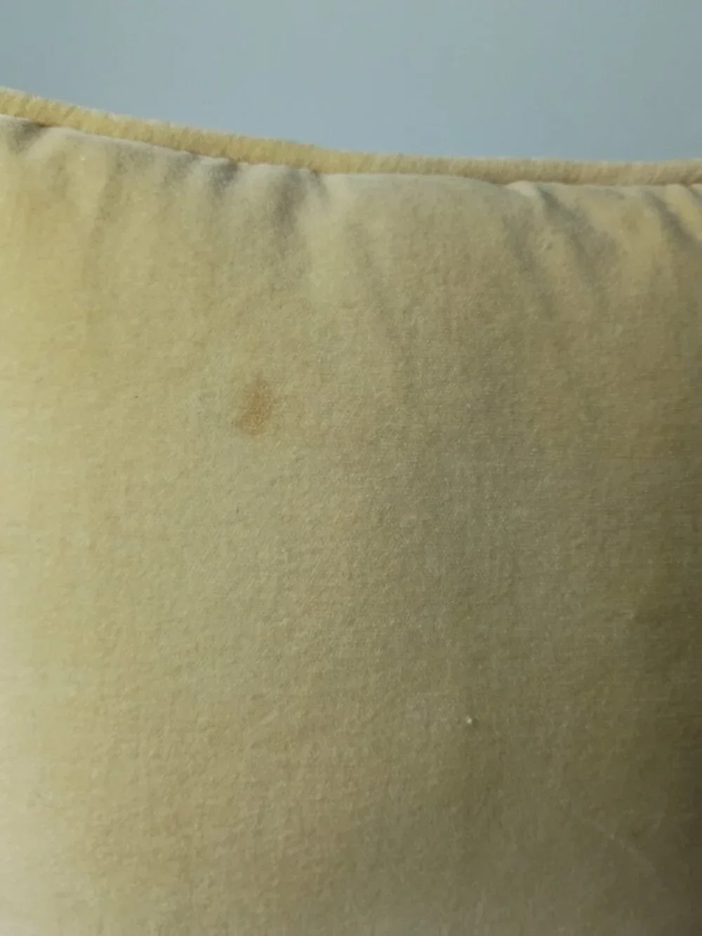 Vtg Wool Needlepoint Fancy Flower Dog Throw Pillow Velvet Back Whimsical 10x9.5